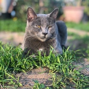 Meet your Posher, Aimee